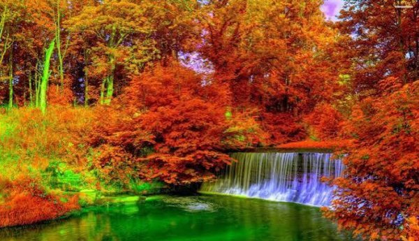  عکس آبشار و برگ های پاییزی با کیفیت HD
