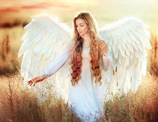  عکس بال فرشته برای پروفایل