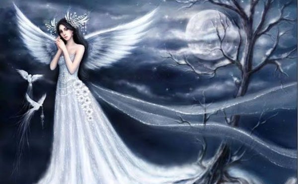  عکس فرشته کیوت
