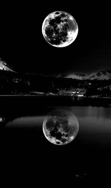  عکس ماه کامل در آسمان شب با کیفیت بالا