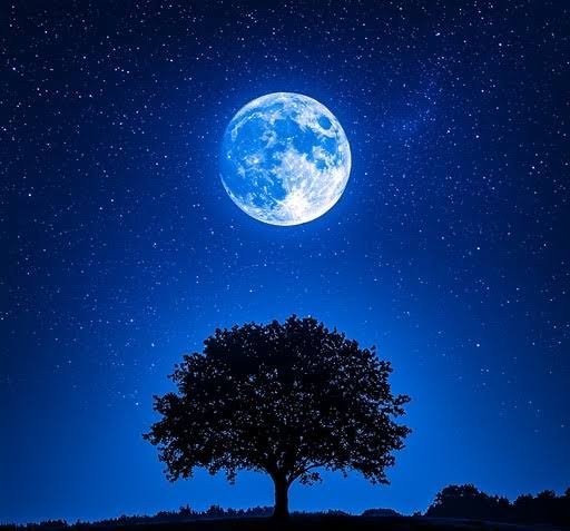  عکس ماه کامل در آسمان شب با کیفیت بالا