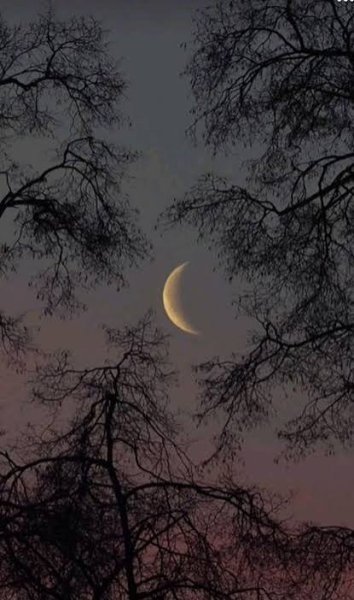  عکس ماه کیوت