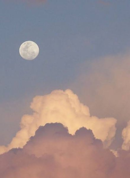  عکس ماه کیوت