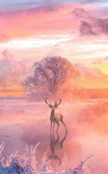  عکس آهو برای پروفایل