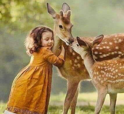  عکس آهو برای پروفایل