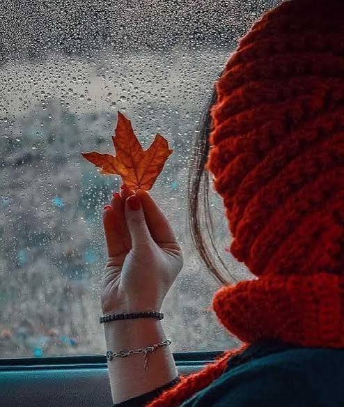  تصویر هنری برگ های پاییزی با کیفیت بالا