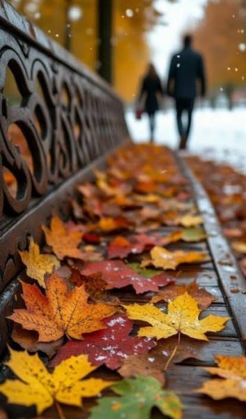  تصویر هنری برگ های پاییزی با کیفیت بالا