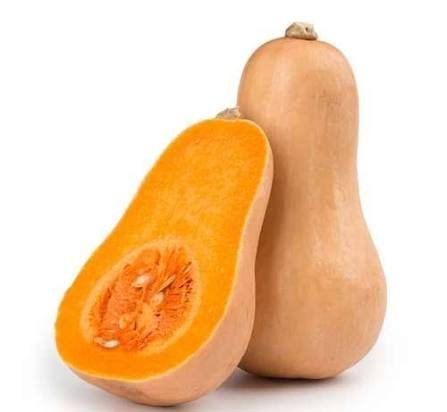  عکس کدو تنبل