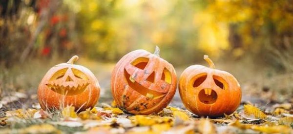  تزیین کدو تنبل پاییزی